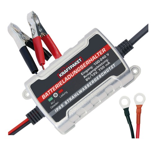 Dino kraftpaket 12v - kraftpaket, 6v/12v