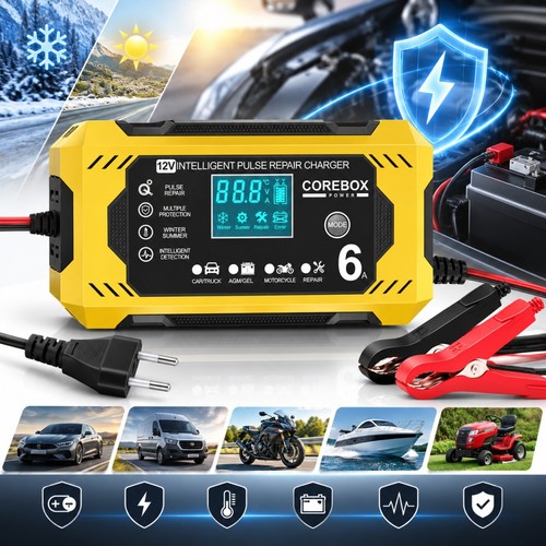 12v auto intelligentes - 6a,
