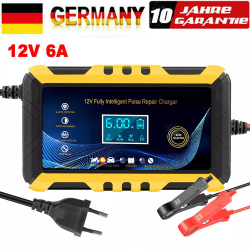12v auto intelligentes - 6a,